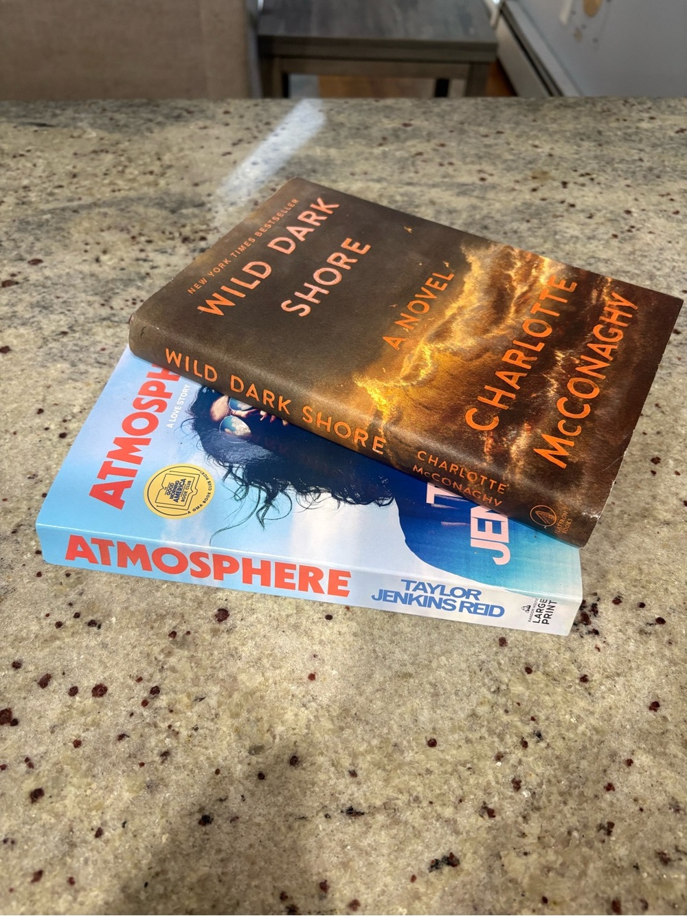 Wild Dark Shore & Atmosphere Book Bundle